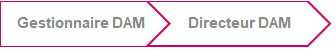 Flèche Gestionnaire Directeur corrective.jpg